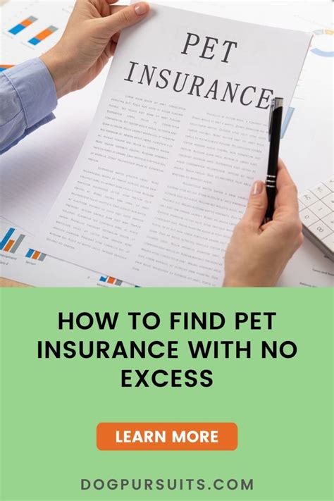 pet insurance no excess uk.